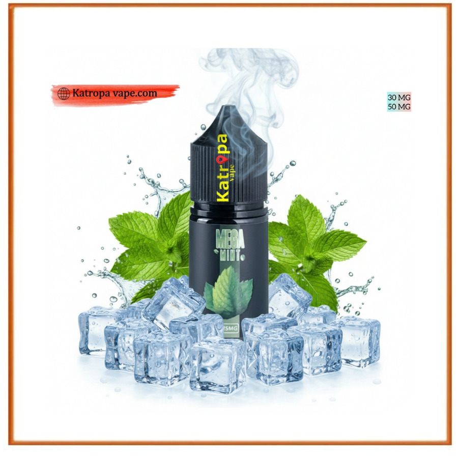 MEGA MINT SaltNic E‑Liquid 30ml